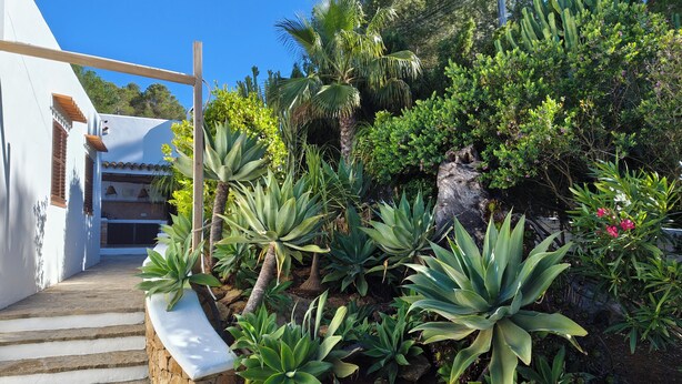 Um jardim com diversas plantas e uma escadaria de pedra que leva a um edifício.
