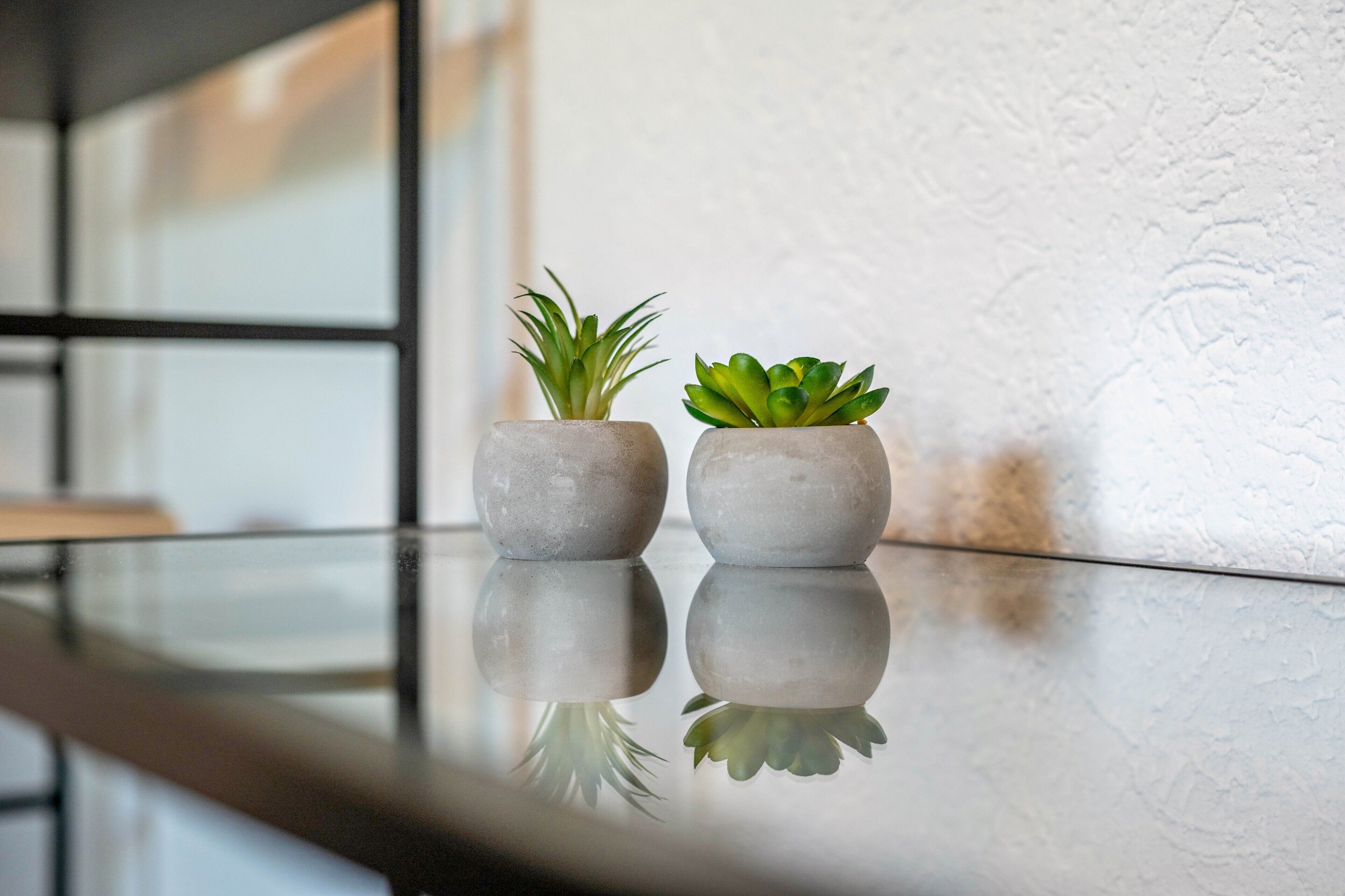 Twee potplanten op een reflecterend oppervlak.