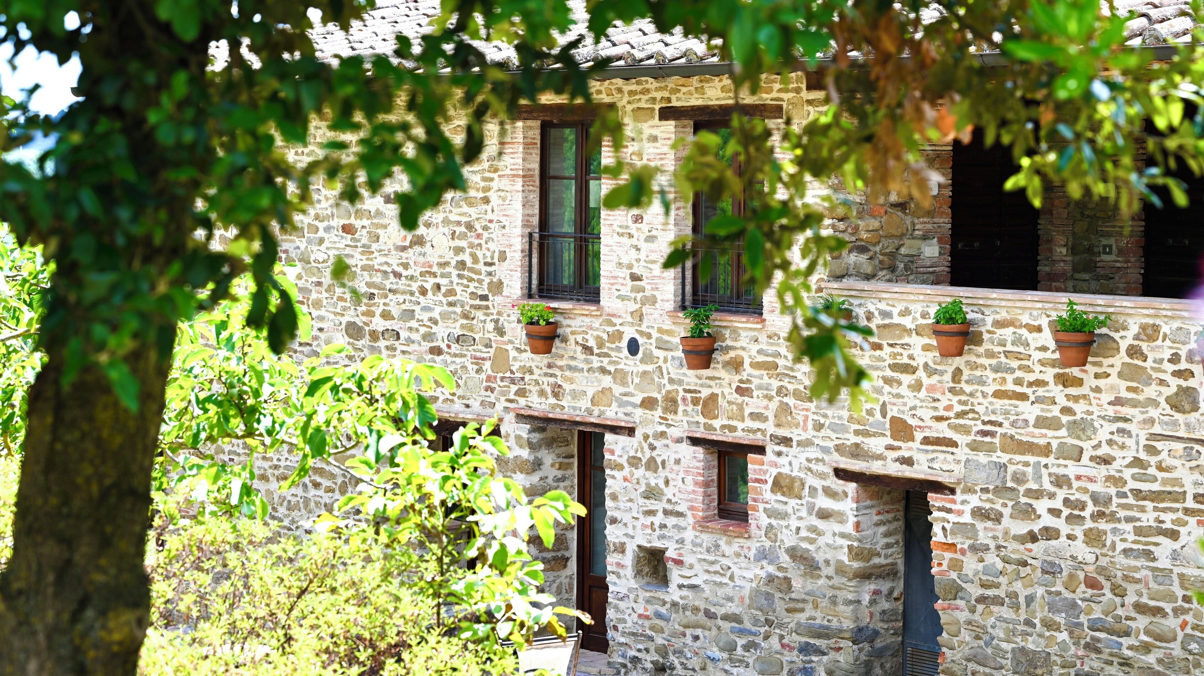 Edifici de pedra amb diverses finestres i plantes en testos a l'exterior.