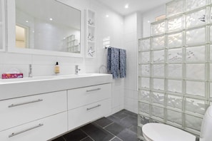 A modern bathroom with a white vanity, a large mirror, a glass shower enclosure, and a toilet. - Belair Caribbean Sea with spectacular ocean views and house reef directly in front of the studio (Kralendijk)