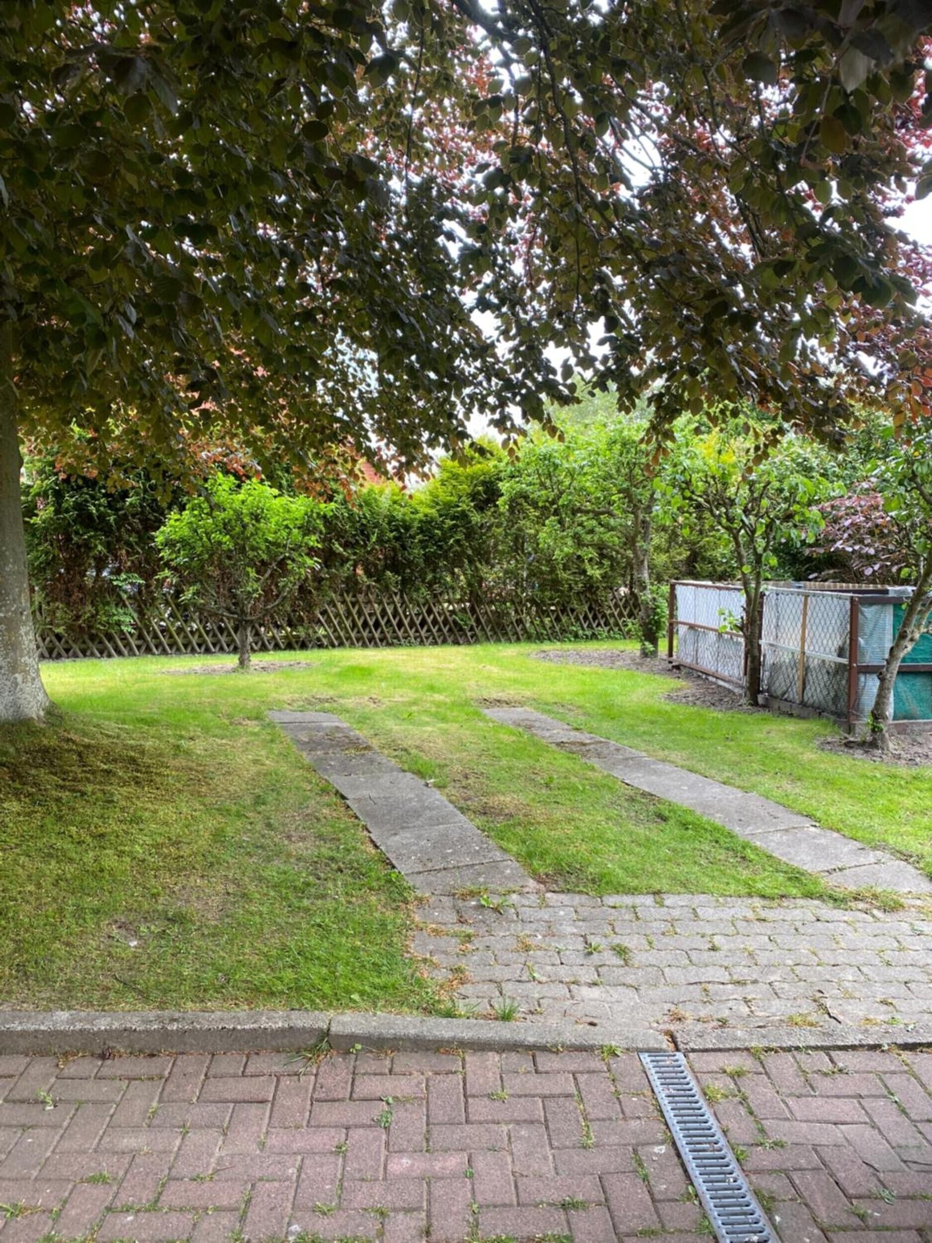 Een verhard pad dat door een gazon loopt, met een haag en hek op de achtergrond.