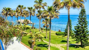 A tropical garden with palm trees, a pathway, and a view of the ocean.