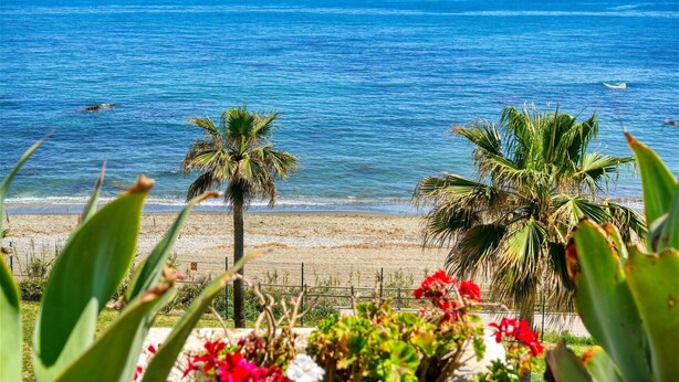 A beach view with palm trees and a fence.