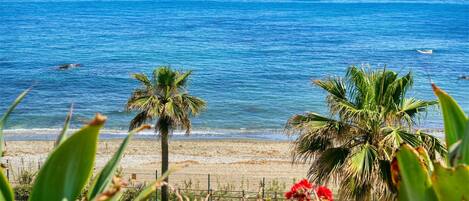 Beach nearby
