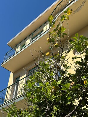 Außendetails