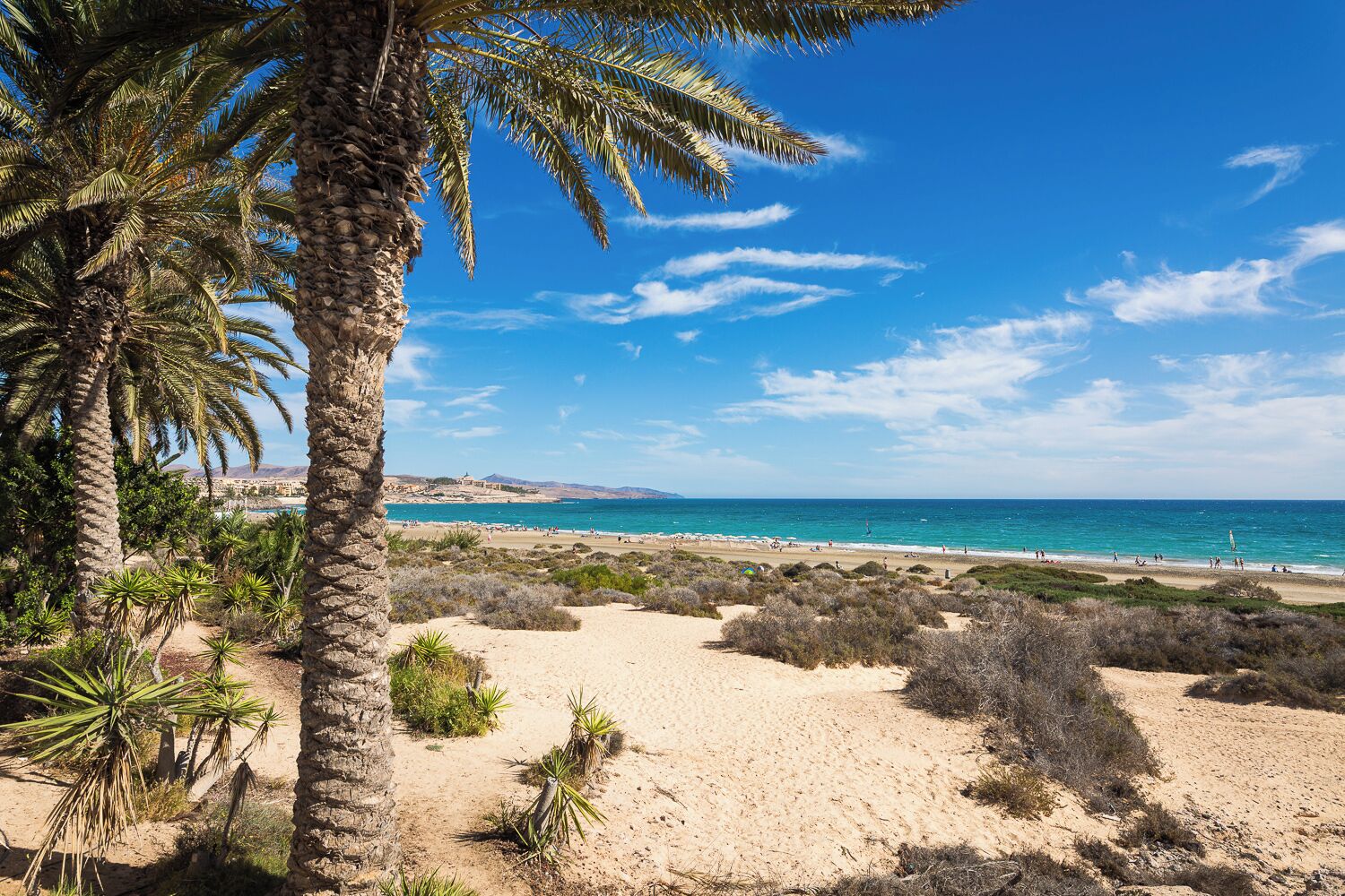 Beach