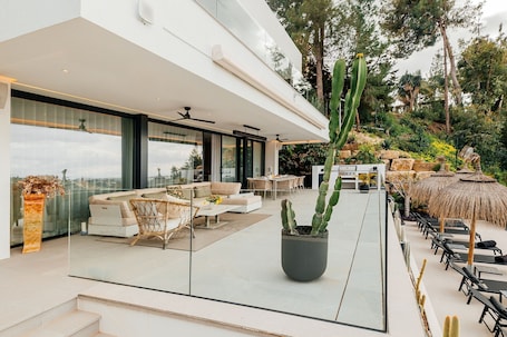 A modern outdoor living area with a glass wall, a large potted cactus, outdoor furniture, and a dining area.