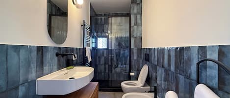 Shower, hair dryer, bidet, towels