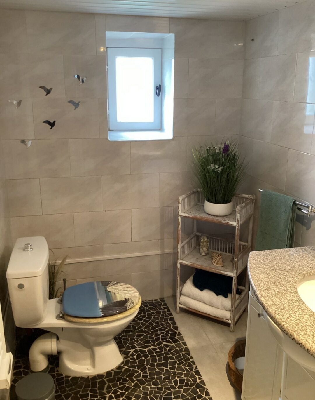 A bathroom with a toilet, a sink, a small window, and a shelf with a plant.