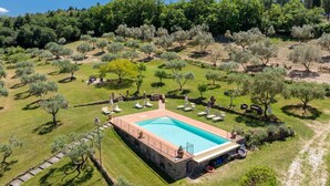 Una piscina rettangolare con bordo in pietra, circondata da prato e alberi di ulivo.