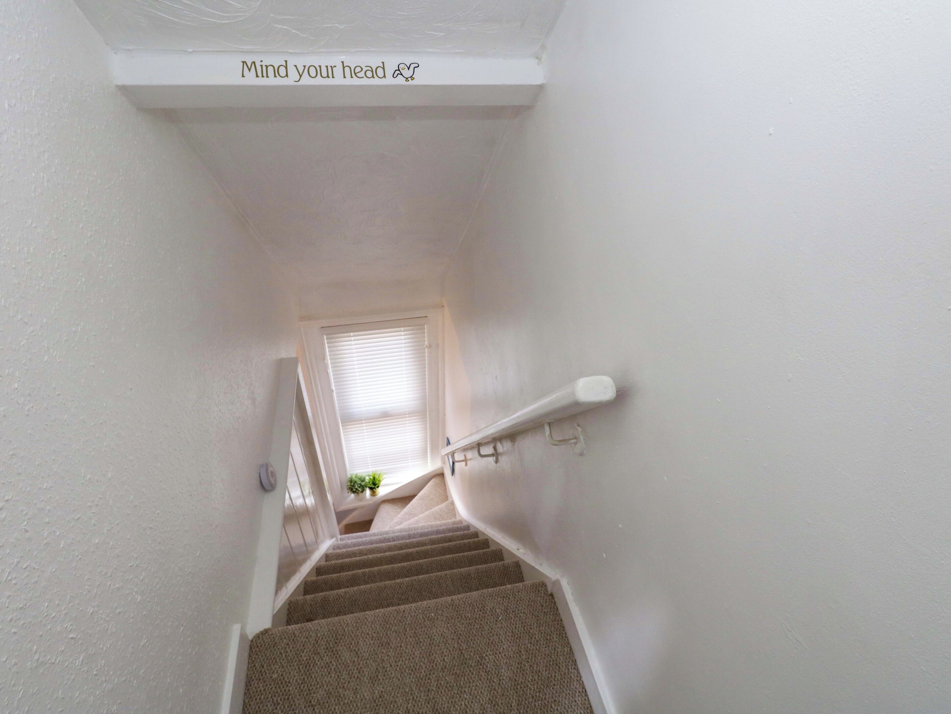 A staircase with a handrail, carpeted steps, and a window at the top.