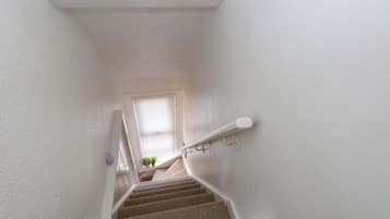 A staircase with a handrail, carpeted steps, and a window at the top.