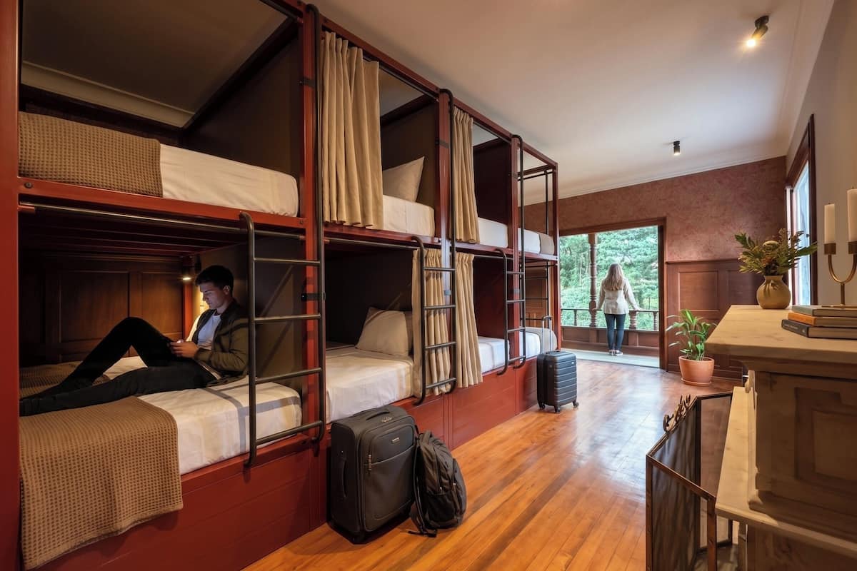 A room with bunk beds, a suitcase, a potted plant, and a window with a view of greenery.