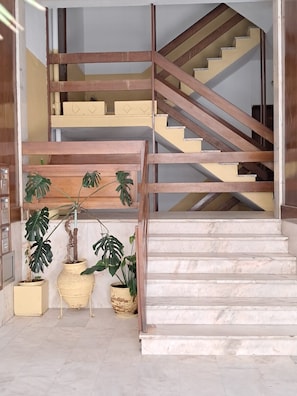 Eine Treppe mit einem Holzgeländer und beigen Stufen, die zu einer Zwischenebene mit einem Blumentopf führt.