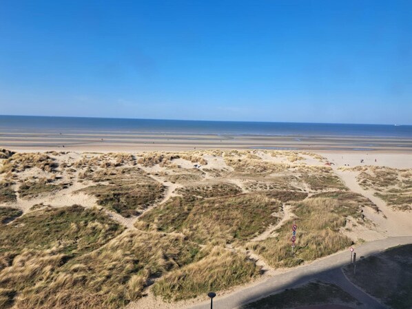A coastal landscape with dunes, a clear sky, and a distant view of the sea. - Sea View Family Stay for 8 (Koksijde)