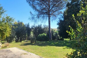 Property grounds - Vrbo Property (Castagnetta)