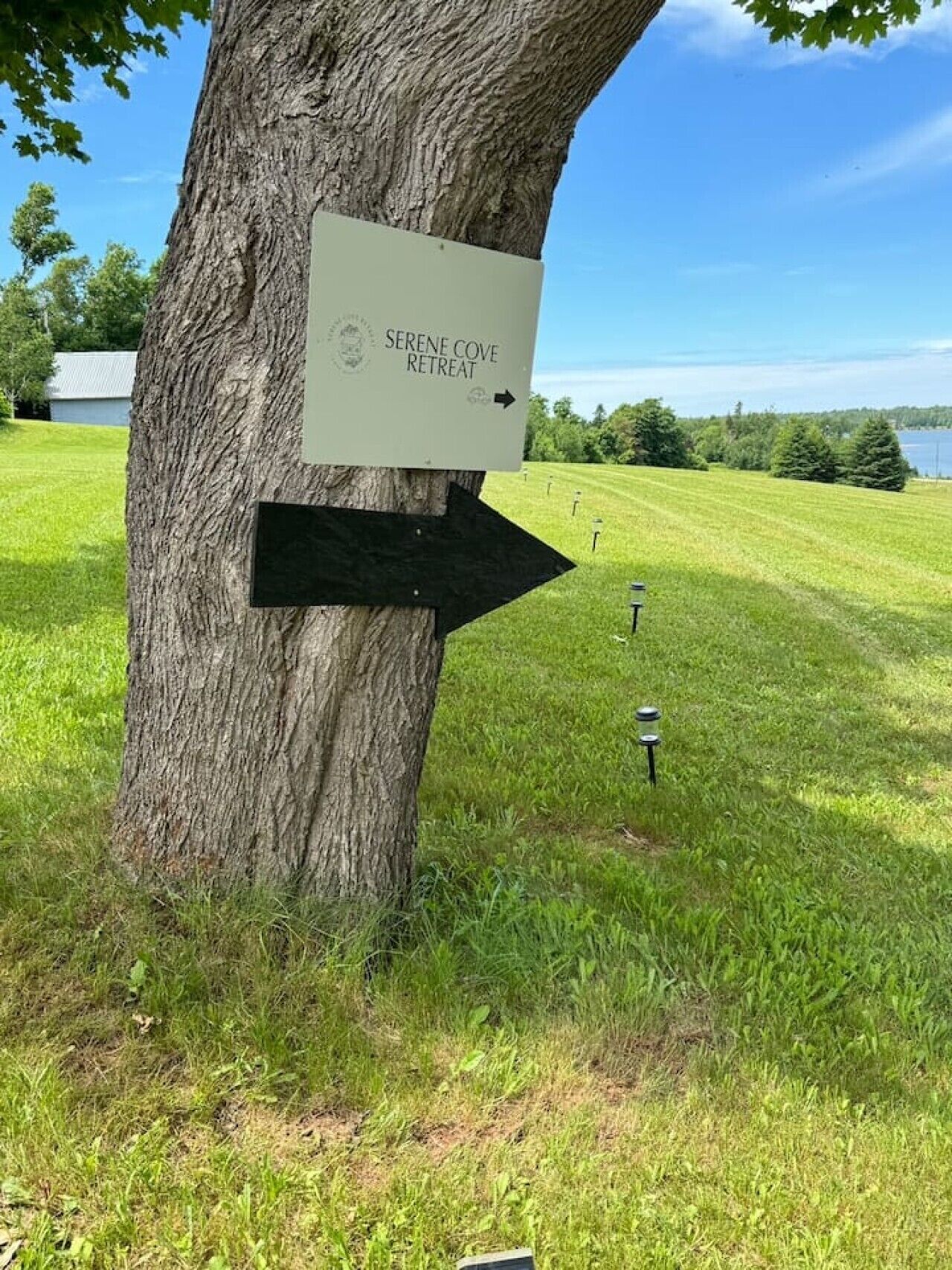 Un arbre sur lequel est fixée une pancarte indiquant la direction à suivre pour rejoindre le centre de retraite de Serene Cove.
