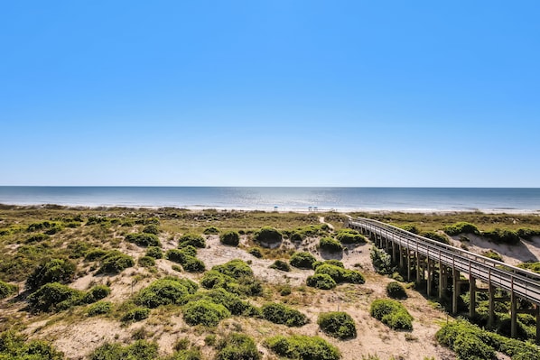 A beach with a wooden pier extending into the ocean, sandy dunes, and sparse vegetation.