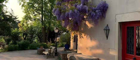 Terras