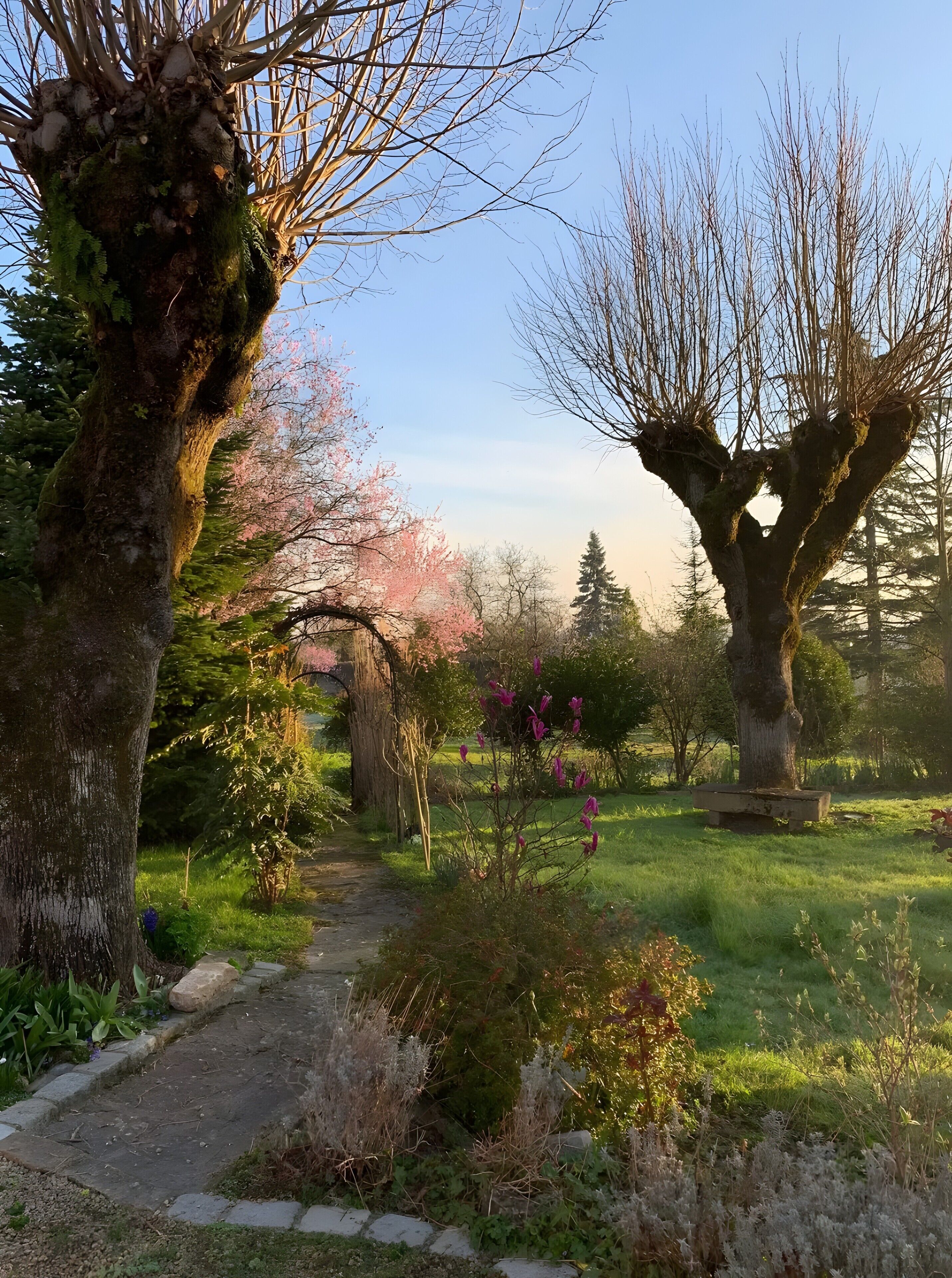 Ein Weg durch einen Park mit Bäumen und Sträuchern.