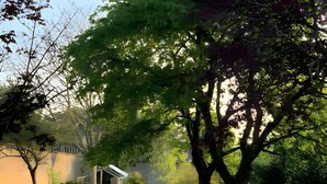 Une allée pavée mène à un bâtiment doté d’une entrée couverte, entouré d’arbres et d’une pelouse.