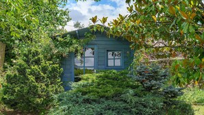 A small blue house surrounded by dense greenery.