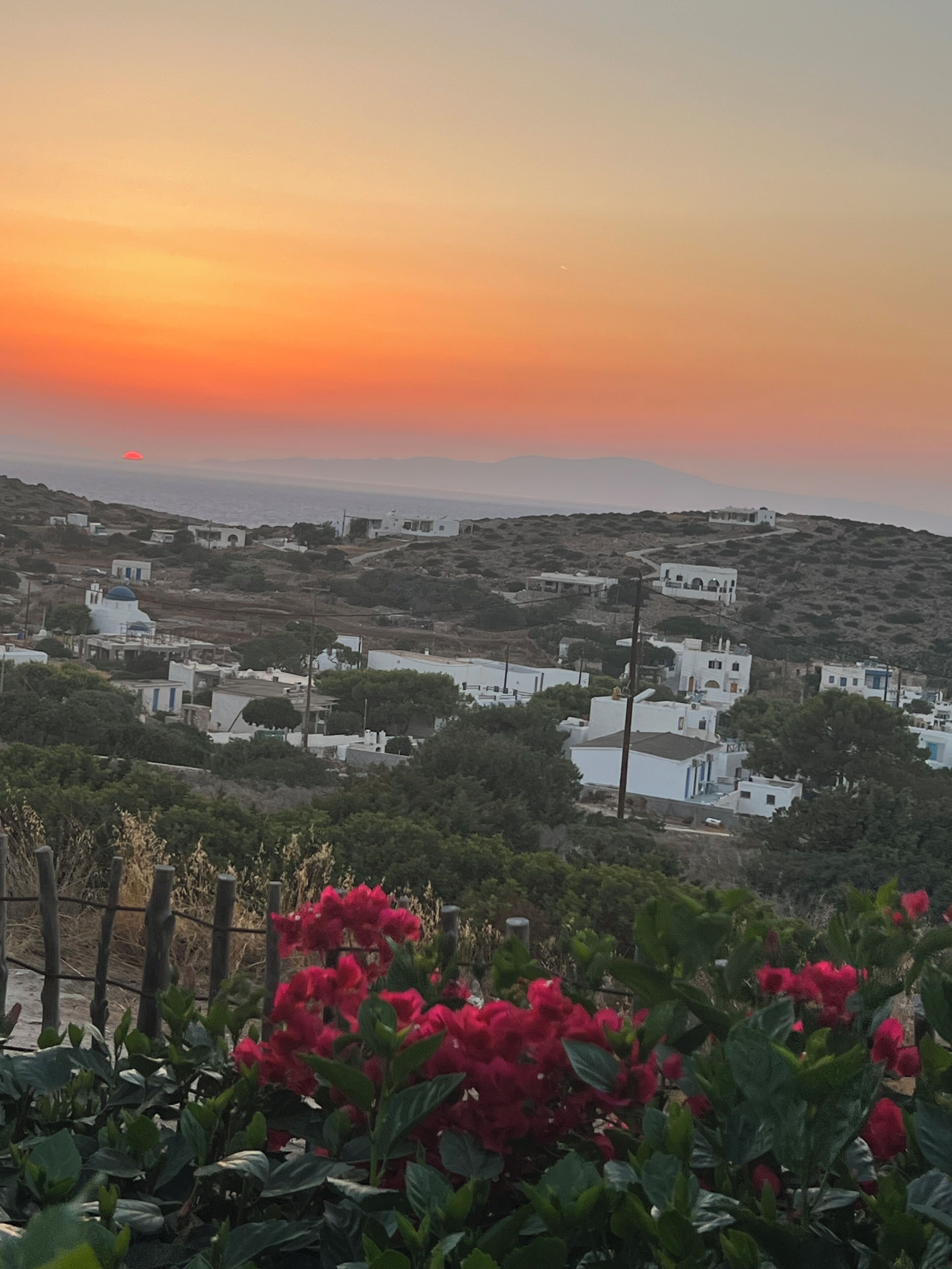 Uma vila costeira com edifícios brancos, um pôr do sol e flores vermelhas em primeiro plano.