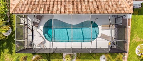 Ein Dachpool mit Glasveranda, umgeben von einer Holzterrasse und Palmen.
