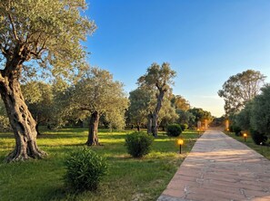Miscellaneous - ClickSardegna Villa Ulivo with  Large Pool · Luxury Eco Retreat Near Alghero (alghero)