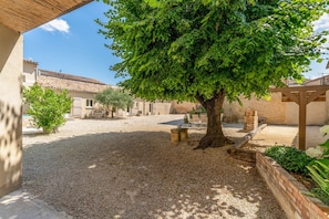 Un cortile con un albero, terreno sterrato e edifici sullo sfondo.