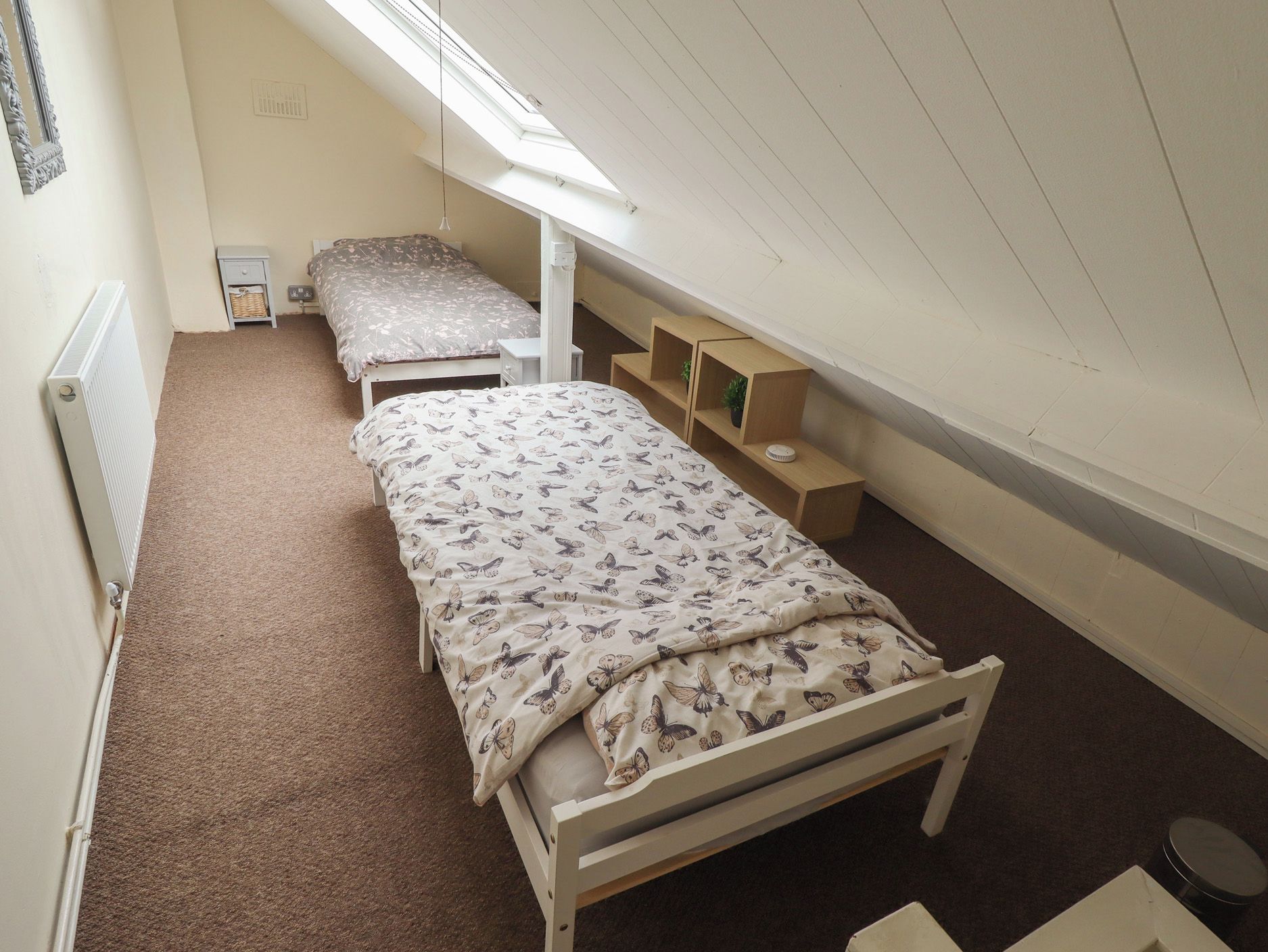 A dormitory room with two single beds, a radiator, a skylight, and a small shelf with a plant.