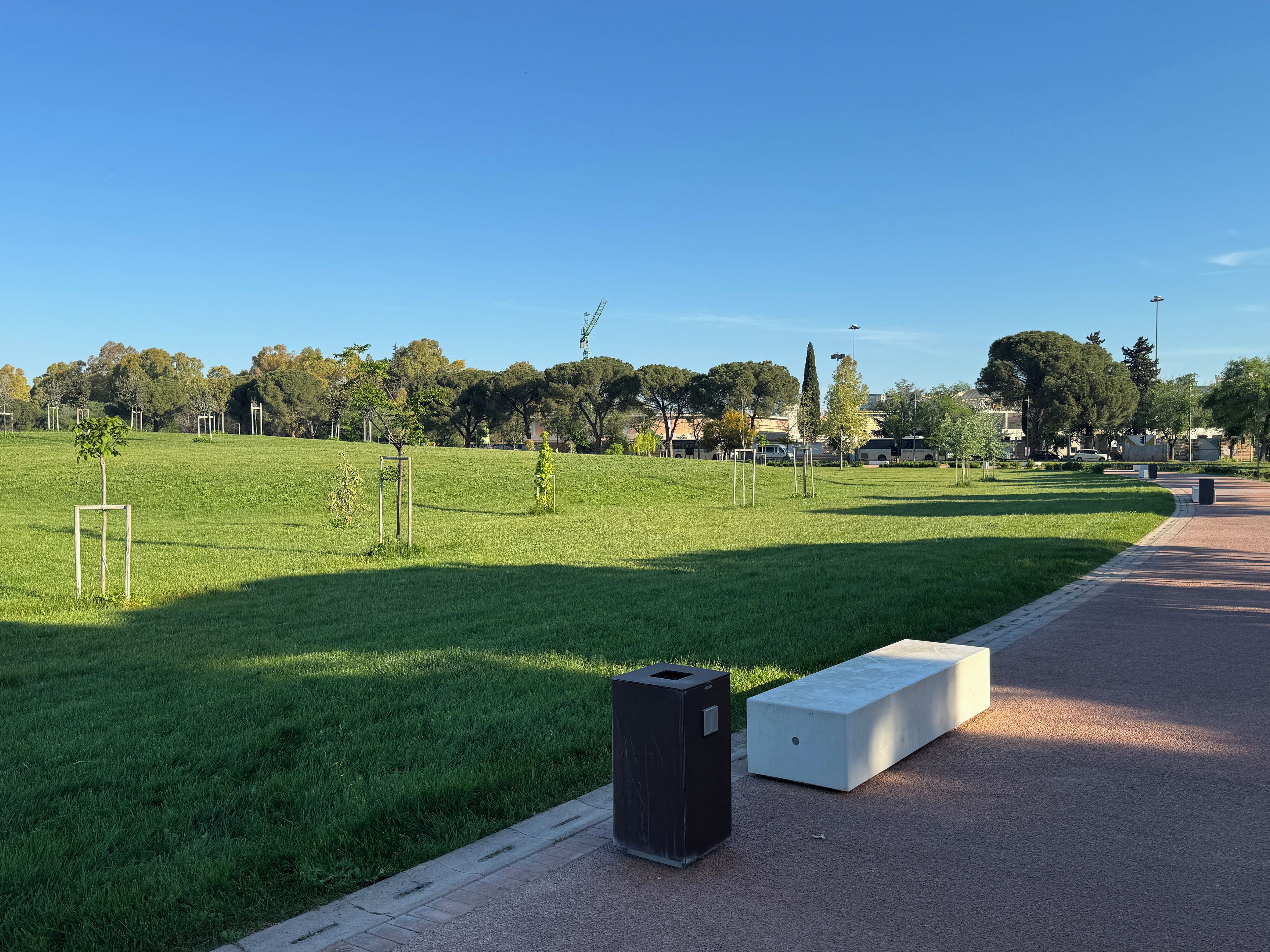 A park with a paved walkway, green grass, and trees.