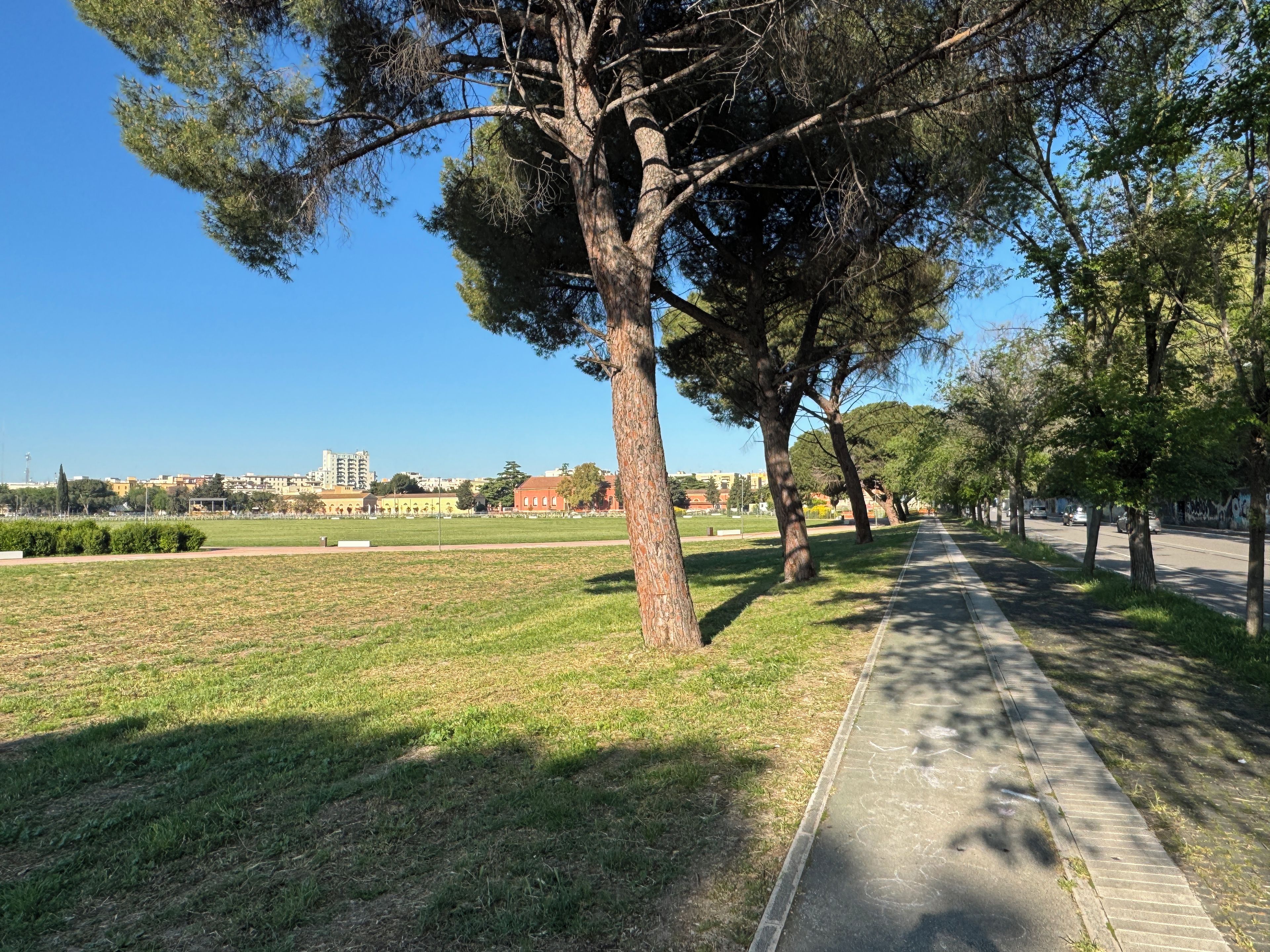 Ein Park mit einem gepflasterten Weg, Bäumen und einer Rasenfläche.