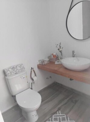 A bathroom with a toilet, a sink, a mirror, and a small decorative plant. - Suite with Pool and Nature View (Achada Fazenda)