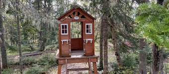 Käbane Artik - Treasure of the forest