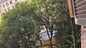 A courtyard with trees, a paved path, and a building in the background.