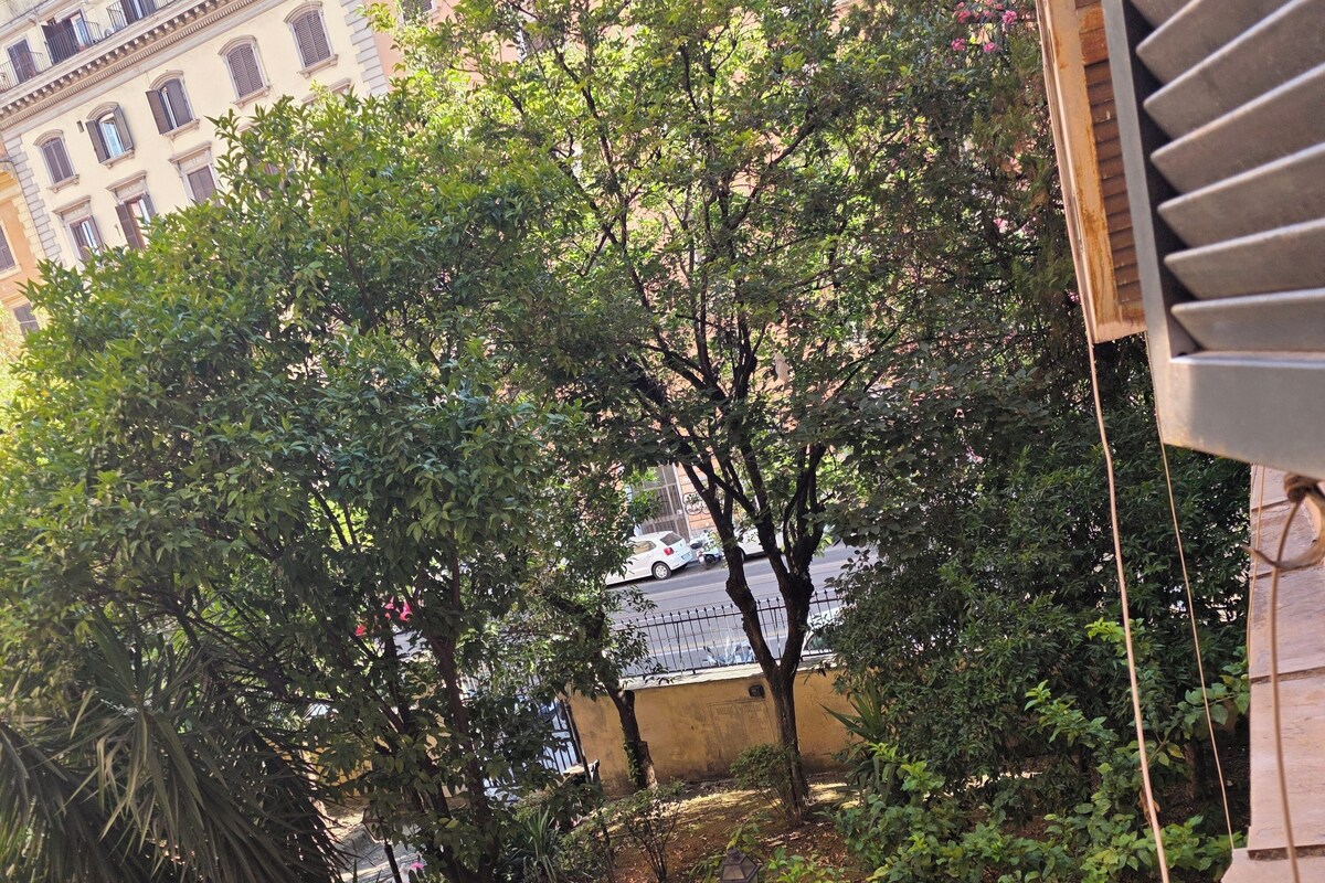 Un patio con árboles, un sendero empedrado y un edificio al fondo.