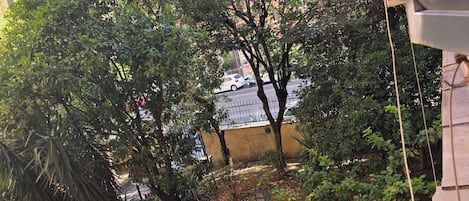 Um pátio com árvores, um caminho pavimentado e um edifício ao fundo.