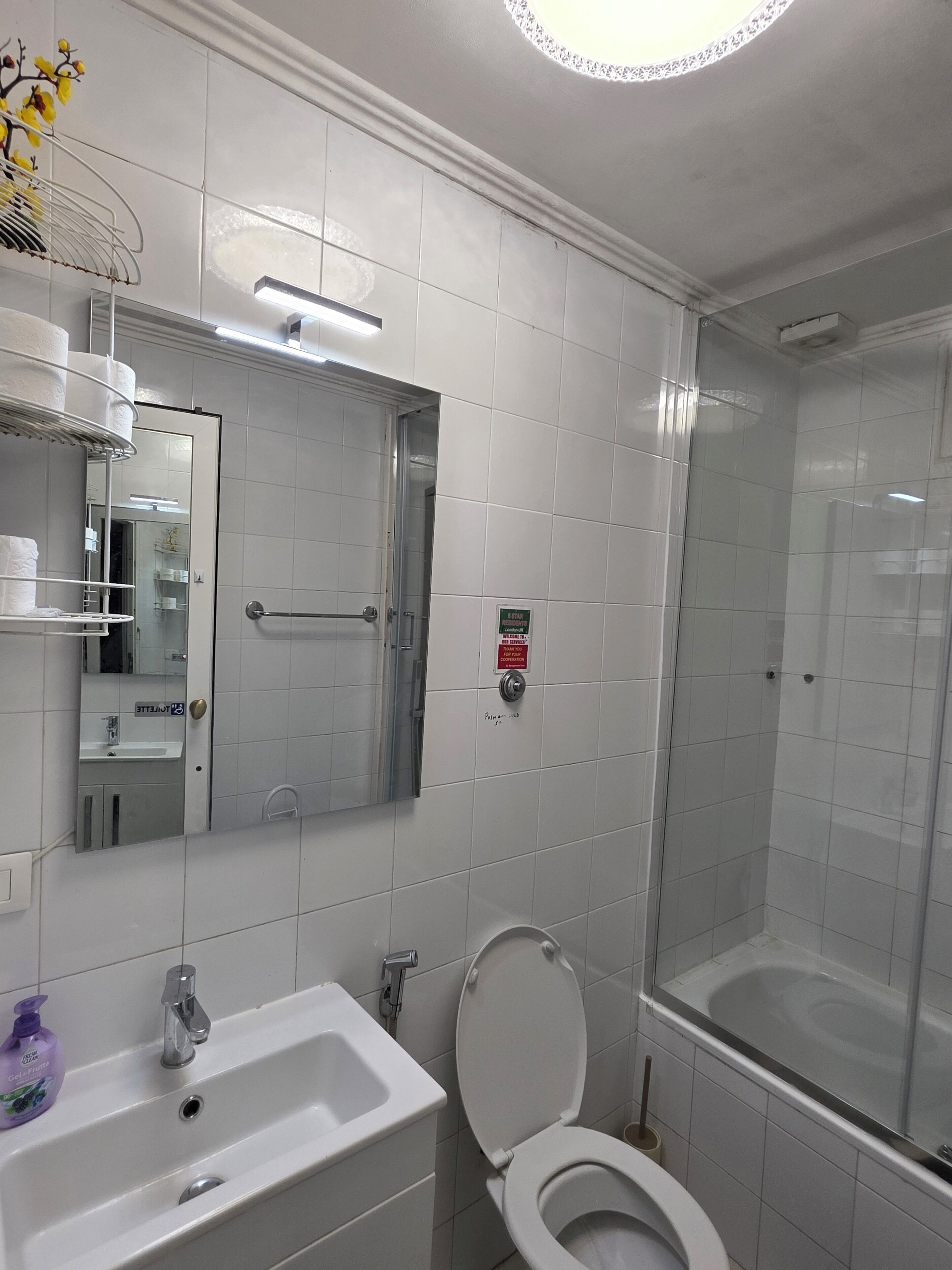 Een badkamer met een wastafel, toilet en douche.