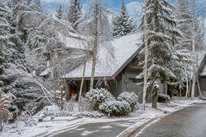 Een met sneeuw bedekte lodge met een houten gevel, omringd door dichte altijdgroene bomen.