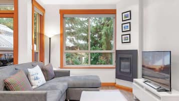 TV, fireplace, offices