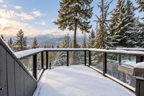En snötäckt terrass med utsikt över snötyngda träd och berg i bakgrunden.