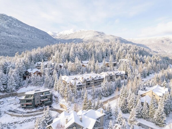 A resort with multiple buildings surrounded by snow-covered trees and mountains.