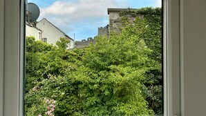 A window view of a building with a satellite dish, a stone wall, and dense greenery. - Muriau Tref - Three Bedroom Cottage, Sleeps 4 (Conwy)