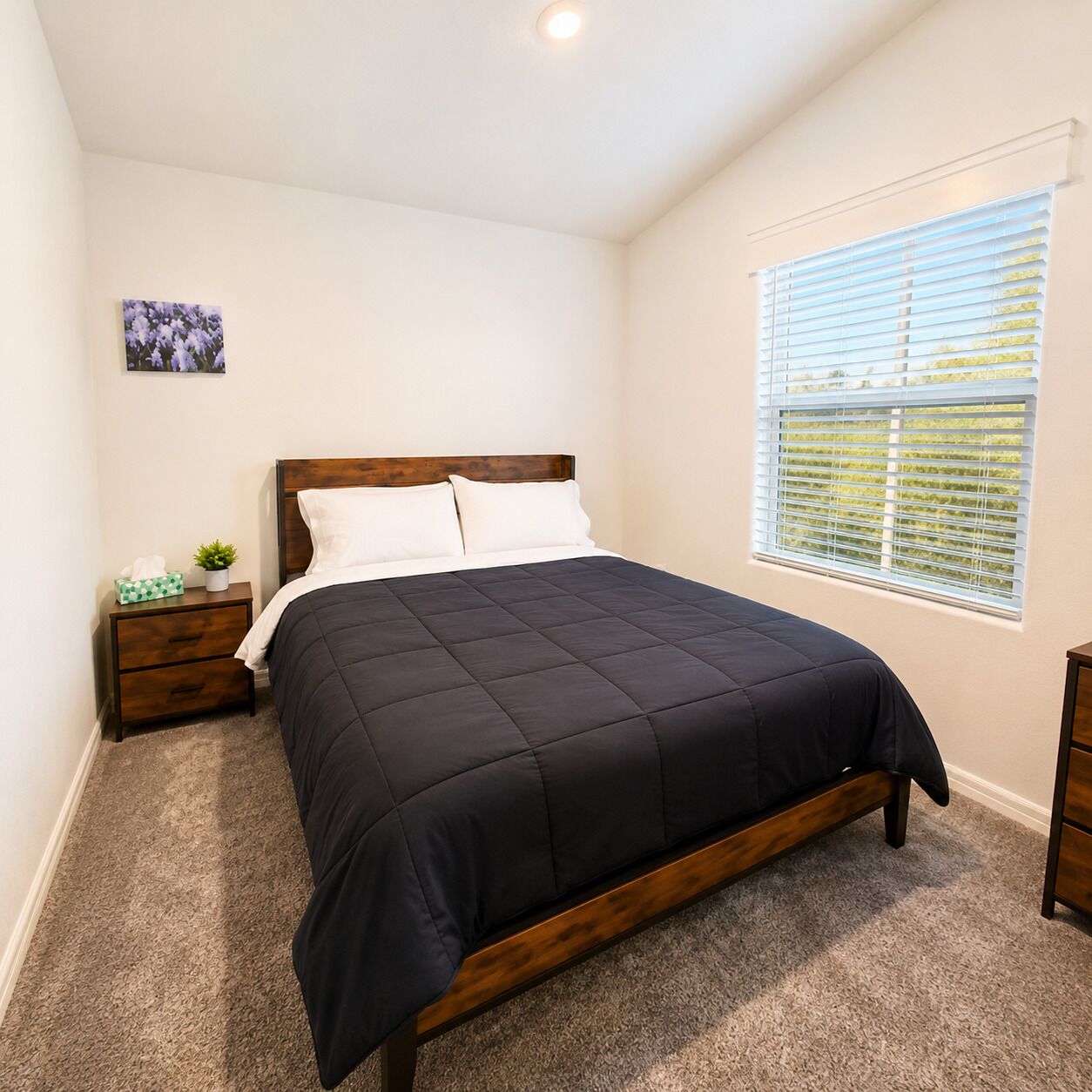 A bedroom with a bed, a nightstand, a small plant, a picture on the wall, and a window with blinds.