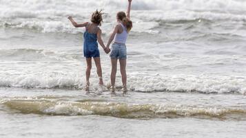 Playa en los alrededores