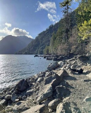 Beach - Charming PNW cabin @ Lake Cushman! Firepit, games, near private waterfront park! (Hoodsport)