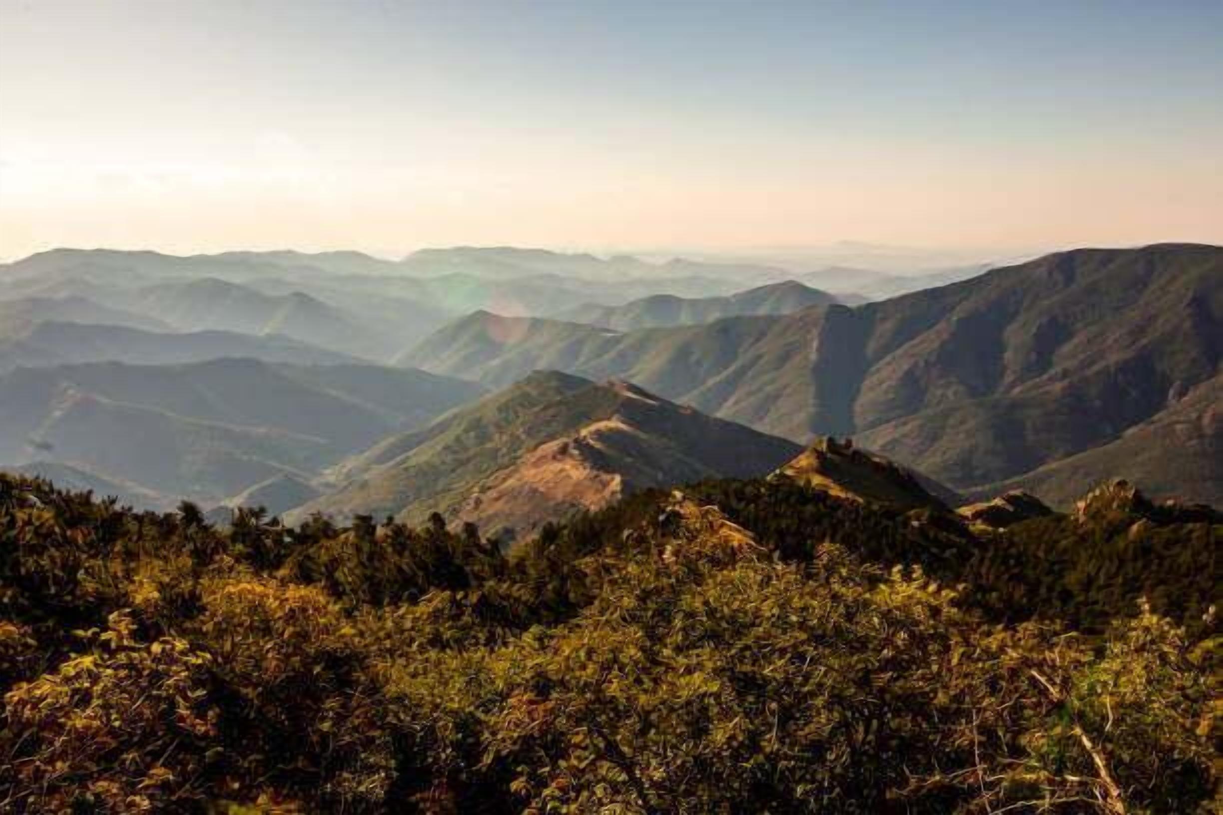 Un paysage montagneux caractérisé par une végétation forestière dense.