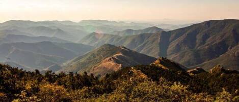 A mountainous landscape with dense forest vegetation.