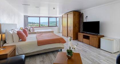 Room 'Room 21 - Terrace - Quinta Do Avô' with Mountain View, Wi-Fi and Air Conditioning